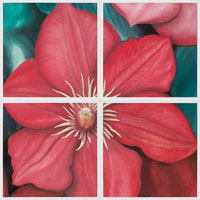 Red Clematis, 2006, oil on canvas, 48" x 48", 4 panels