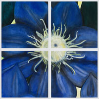 Blue Clematis, 2006, oil on canvas, 48" x 48", 4 panels