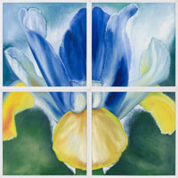 Blue & Yellow Iris, 2006, oil on canvas, 48" x 48", 4 panels
