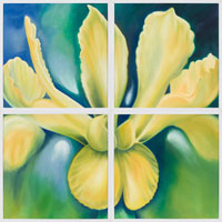 Yellow Iris, 2006, oil on canvas, 48" x 48", 4 panels