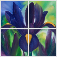 Purple Iris, 2006, oil on canvas, 48" x 48", 4 panels