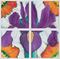 Purple Iris & Daffodil, 2006, oil on canvas, 36" x 36", 4 panels