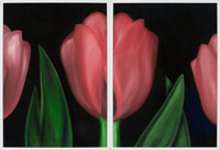 Red Tulip, 2006, oil on canvas, 36" x 48", 2 panels