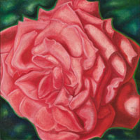 TRed Rose, 2006, oil on canvas, 30" X 30"