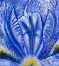 TBlue Iris Light, 2006, oil on canvas, 26" x 24"