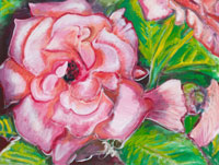 Red Rose, 2006, oil on canvas, 18" x 24"