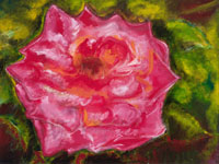 Red Rose with Yellow Highlight, 2006, oil on canvas, 18" x 24"