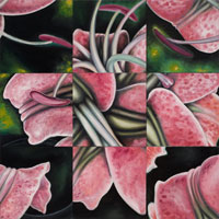 Red Lily, 2006, oil on canvas, 54 "x 54", 9 panels rearranged