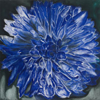 Blue Flower, 2006, oil on canvas, 48" x 48"