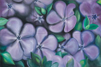 Perennial, 2006, oil on canvas, 48" x 72"